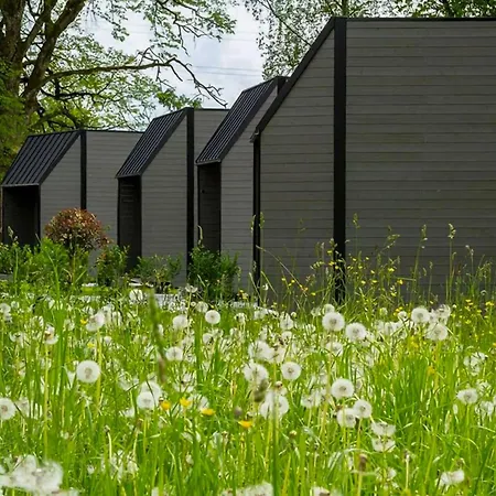 펜션 Tiny 4 - Ihre Stilvollen Tiny-haeuser Am Bodensee 회르브란츠